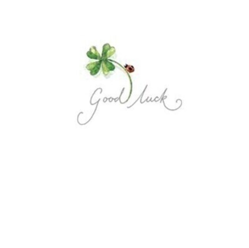 Good Luck Four Leaf Clover Card from Paper Rose This cute little greetings card from Paper Rose has a four leaf clover and ladybird with Good Luck written on the front. The card is blank inside so you can write your own message and it comes complete with envelope.  A lovely little card to send a Good Luck message.